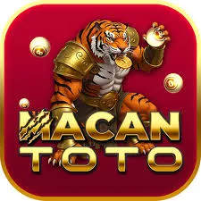 MACANTOTO - Aplikasi Kencan Terpercaya untuk Mencari Jodoh